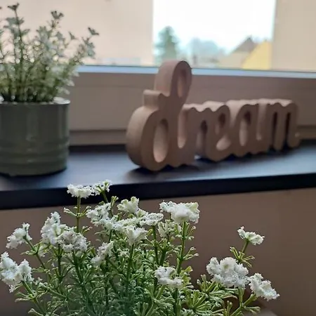 Polly * 타우차